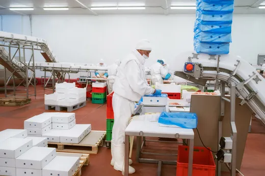Assistant in the production of food products