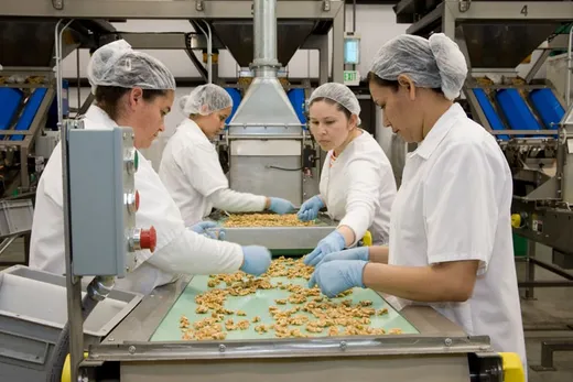 Nut processing