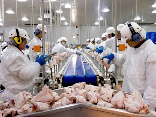 Processing of chicken meat