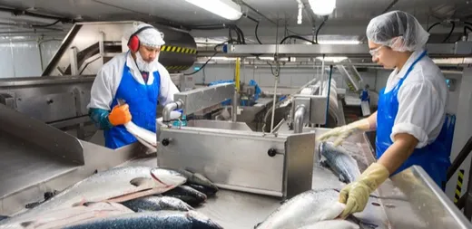 Worker in a fish factory