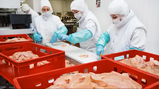 Weighing and packaging of chicken meat